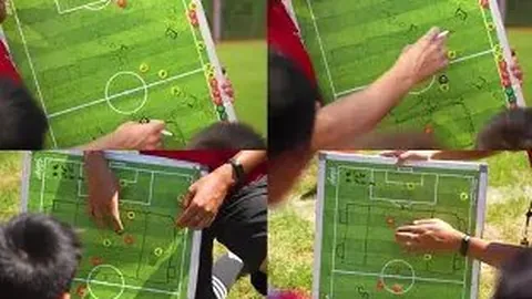 杨乐乐成为被执行人，执行款高达14万余元