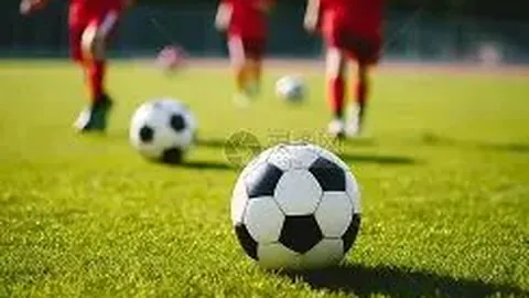 龙8国际 产品 122442 wyr